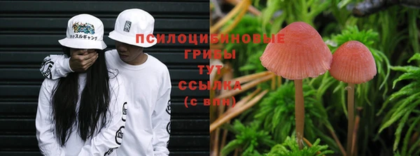 mdpv Бронницы