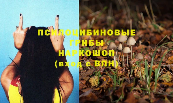 mdpv Бронницы